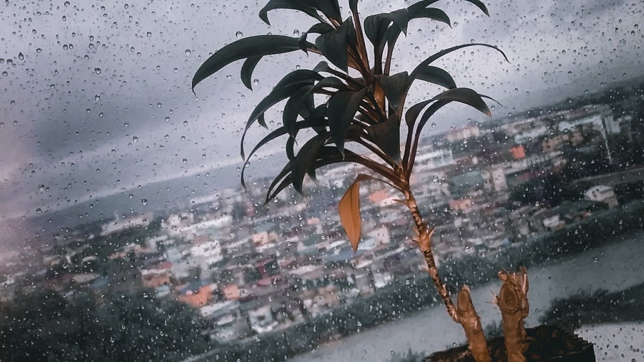 RollyPH | Nov.01,2020