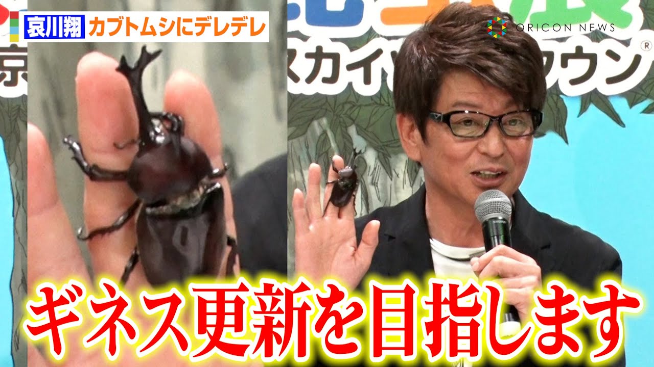 哀川 翔 カブトムシ