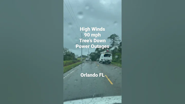 High Winds Topple Trees - Hurricane Ian Orlando FL