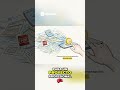 Exportación Profesional  Documentos Listos al Instante
