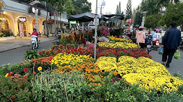 Chợ hoa bến Ninh Kiều rực rỡ sắc màu đón Tết | Miền Tây Tươi Đẹp 31