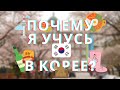 Что мне нравится в моей университете в Корее?