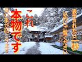 ⚠️雪の熊野本宮大社※24時間後から嬉しく凄く良いことが次々と起きます!神様サインが半端ない!最強パワースポット(和歌山県)