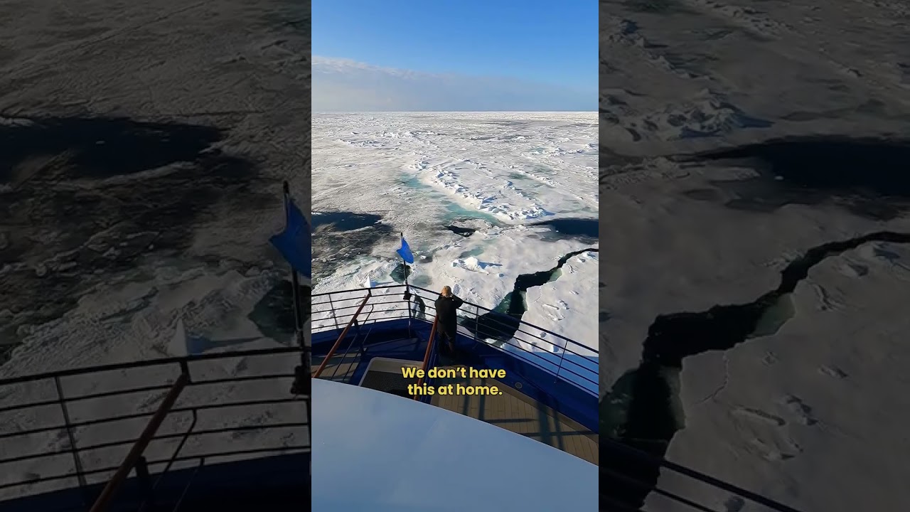 Not me getting emotional over breaking ice in the arctic 😩🐻‍❄️