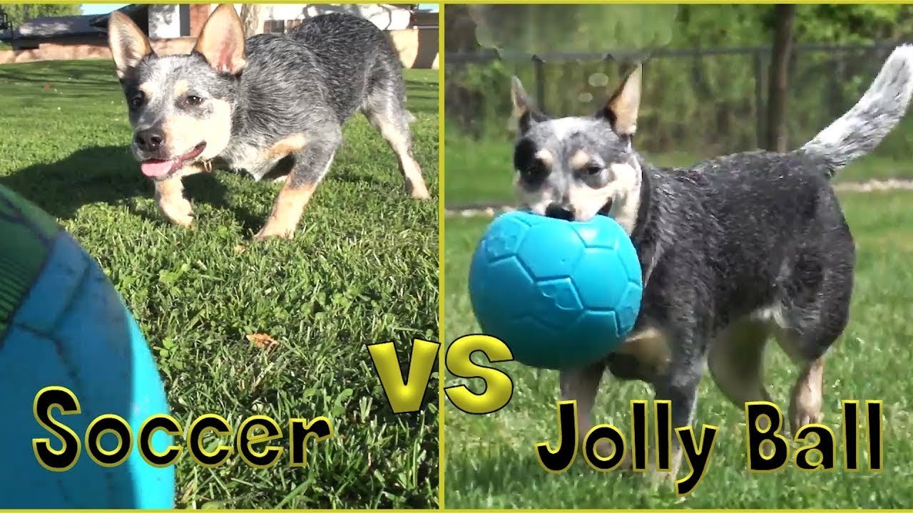 jolly ball soccer ball