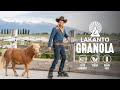 Perfectly toasted keto granola funny lakanto cowboy commercial