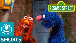 Sesame Street Grovers Joke Challenge