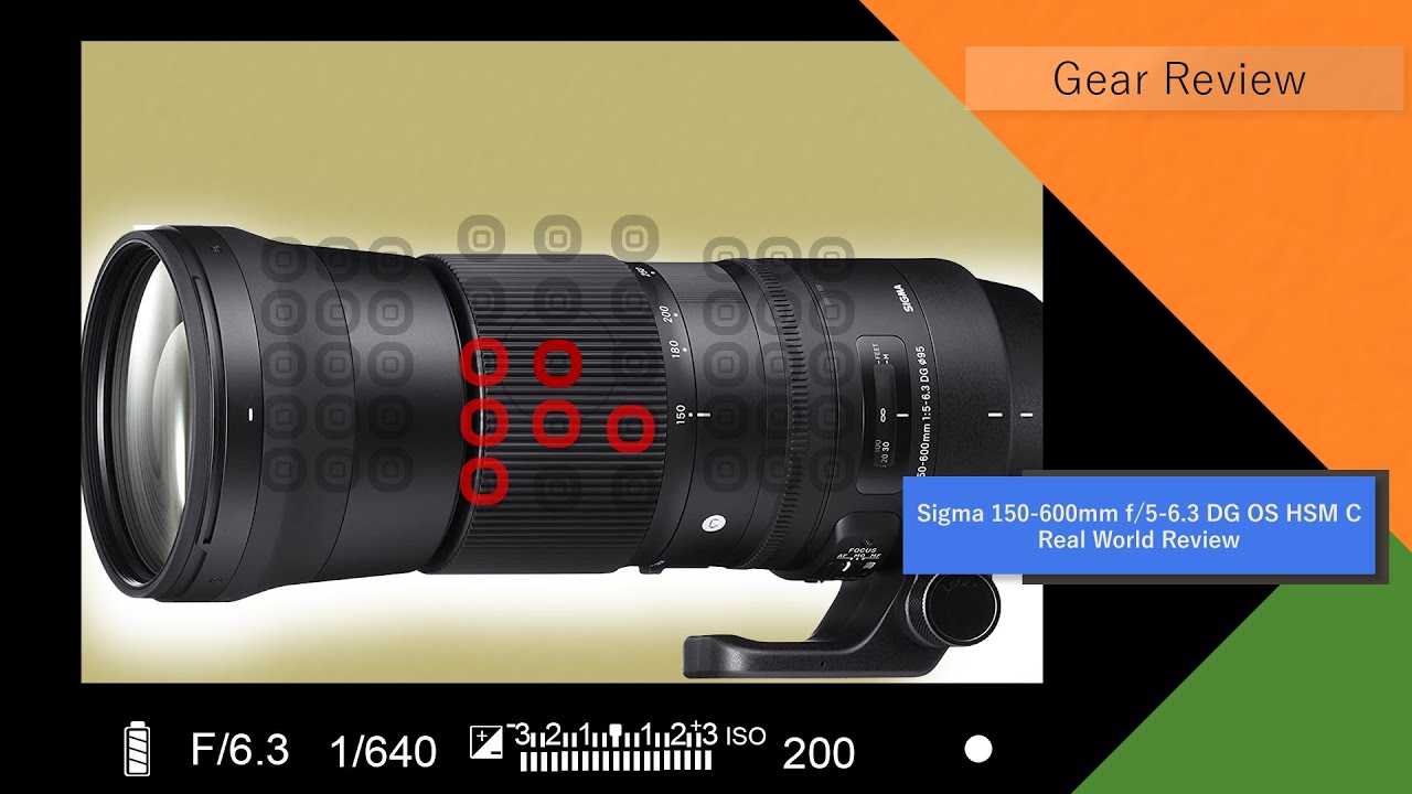 Sigma 150-600mm f/5-6.3 DG OS HSM C | Canon 90D - Test Footage