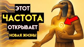 САМАЯ ПРЕОБРАЗУЮЩАЯ ИСТИНА Тота достигла вас - Как ваша ЧАСТОТА переписывает вашу судьбу