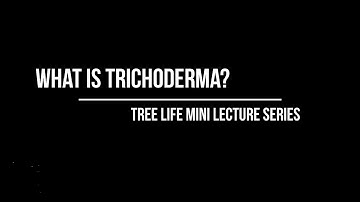 What is Trichoderma