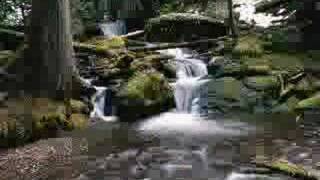 Nature ...
