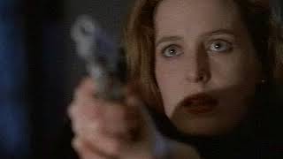 gun (The X-Files Unrestricted Access)