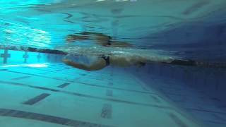 Daniel Torres   Butterfly underwater   9:24:13