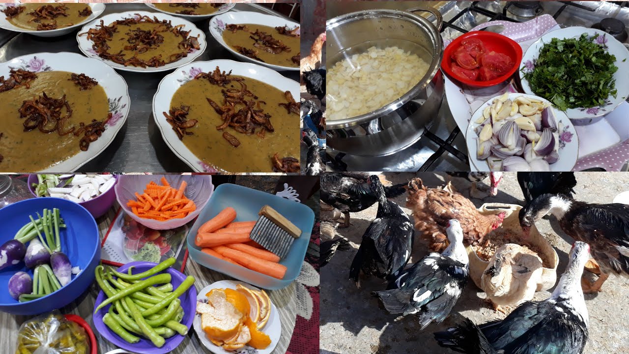 #روتين الست اللى صيبعها متخيط وعملت محل طورشى وطلعت للطيور وعملت احلى بصارة واة يانى من الجواز