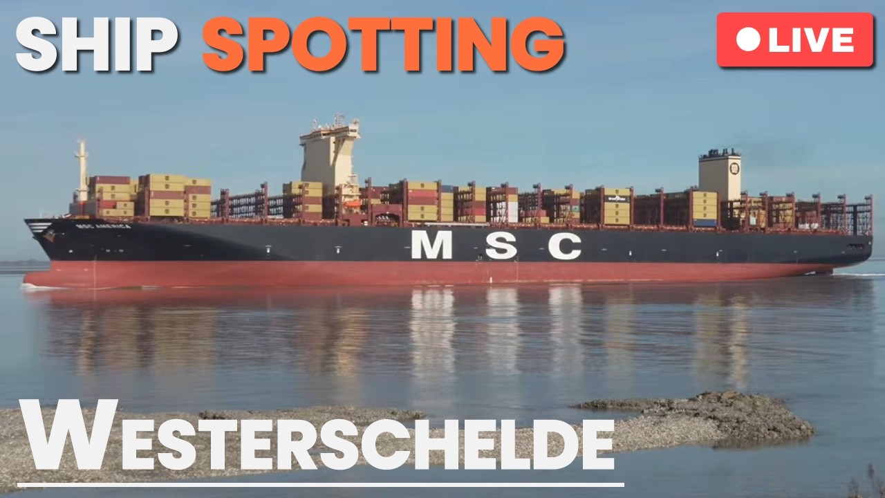 LIVE: 🚢 Ship spotting at Westerschelde, NL | March 5th, 2026