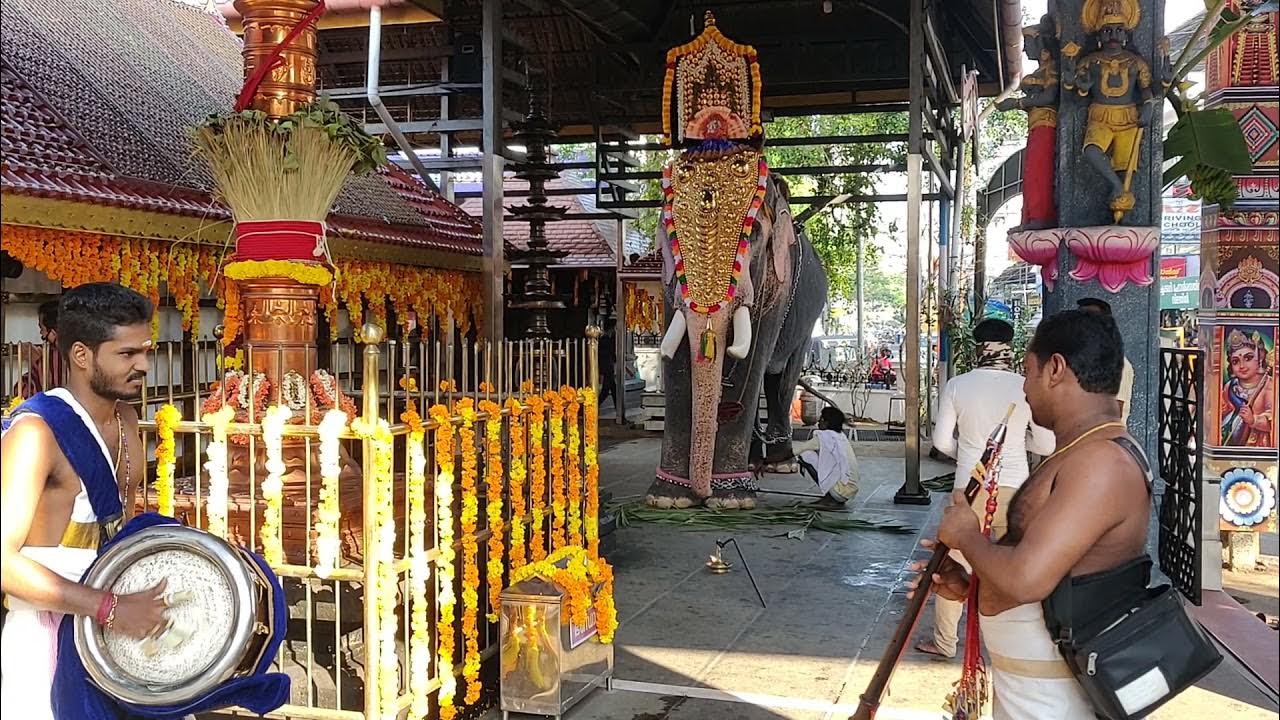 Ernakulam Sree Ayyappankavu Temple 5 th day Makaravilakku mahotsavam