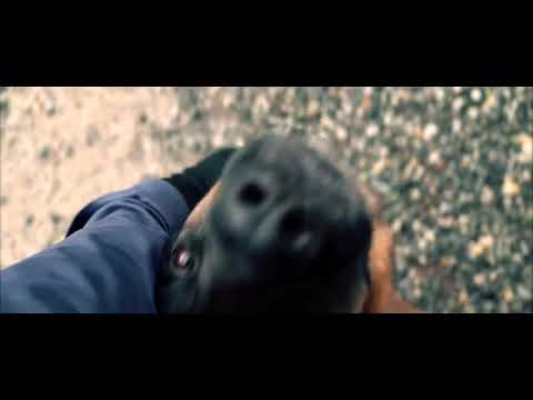 봄 비 아침 3월31일