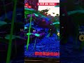 Grounded:Паук застрял и флексит #fortnite #gaming #fortniteclips #fortnitecreative #chapter4