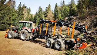 🌲#waldarbeit 🌲 #forstarbeit🌳 Schadholzaufarbeitung im Bergwald. Vorstellung Bmf Rückewagen🤟