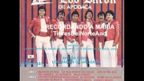 Los Baron de Apodaca Recordando a Maria version ca...