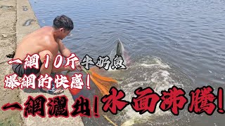 爆爽的趴網一網10斤牛奶魚打龜網熊哥終於開胡了超爽##趕海 #車中泊 ##車宿 #野外做饭