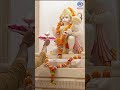 देखिए ‘प्रभु श्री रामलला’ की दिव्य श्रृंगार आरती।  #RamAarti #RamMandir