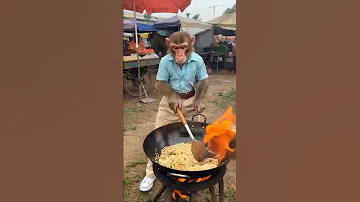 Monkey Cock 