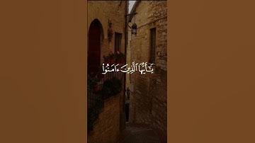 حالات واتس قران كريم | ماهر المعيقلي | ان الله وملائكته يصلون على النبي