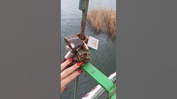 Public ASMR - LOFI Outdoor Tapping and Scratching - No talking #asmr #tapping #asmrsounds