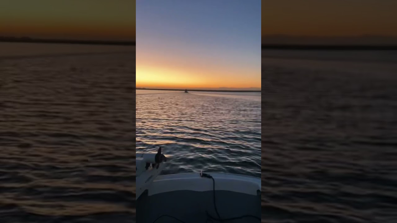 Something about the sunrise! 