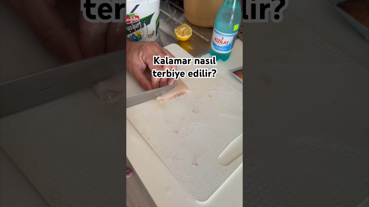 ???? Kalamar nasıl terbiye edilir #kalamarterbiye #yemektarifleri  #asmr #fashiontrends #fishing