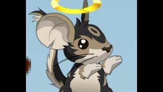 Thekabuto e Paudy - TRANSFORMICE