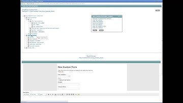 Novell Vibe Webinar Series   Creating Custom Forms