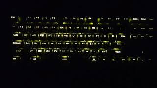 COX CK200 카일 광축 교체축 완전방수 LED 텐키리스 (블랙, 클릭) LED 영상