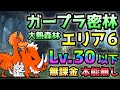 ガープラ密林 エリア６ Lv.30以下＆本能なし＆無課金攻略 大熱森林
