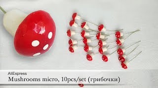 Mushrooms micro-decoration materials, 10pcs/set (грибочки). AliExpress