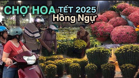CHỢ HOA XUÂN; TẾT 2025 THÀNH PHỐ HỒNG NGỰ, ĐỒNG THÁP, Chưa từng thấy như năm nay...