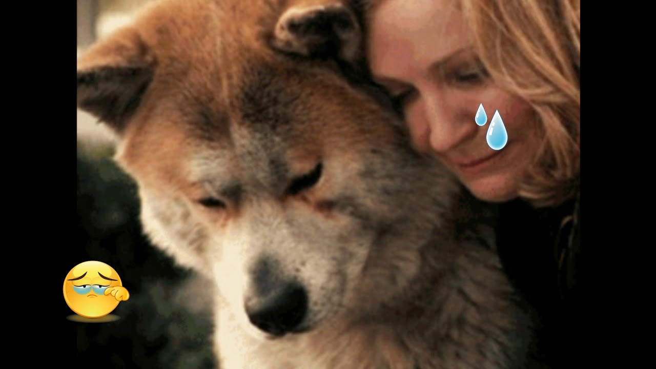 Hachiko-Η πιό συγκινητική μουσική