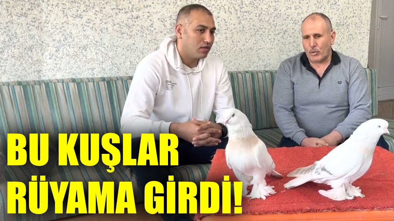 Rüyalarıma Bile Giren Kuşlar! Kürenk Kulübü
