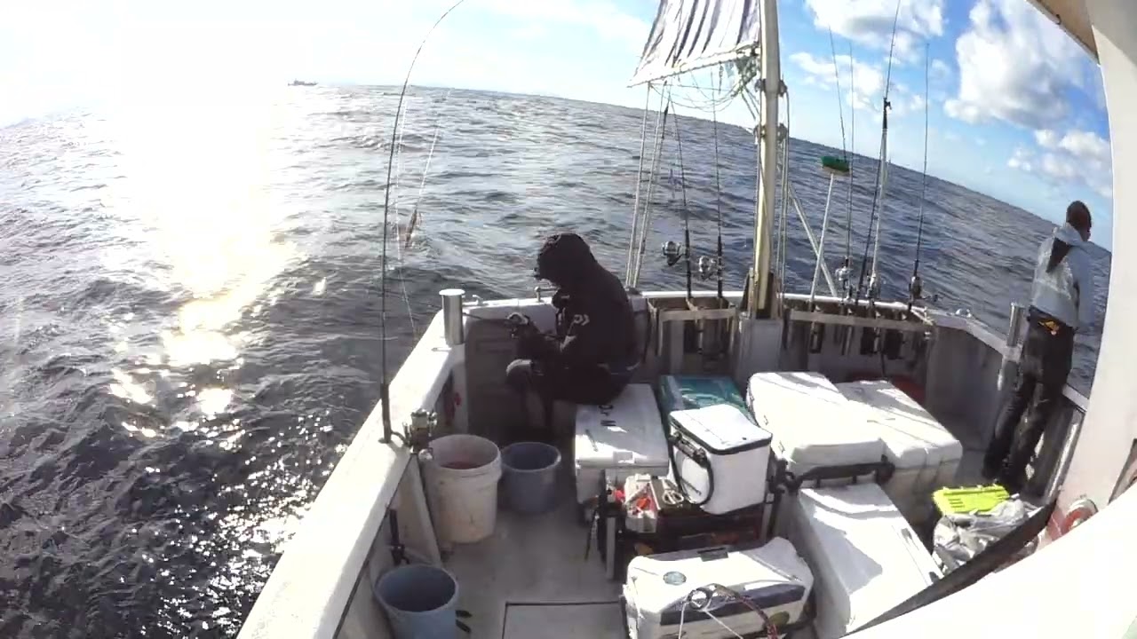 2025年12月18日 アルバトロスジギング 丹後 寒ブリ12.8kでました！②