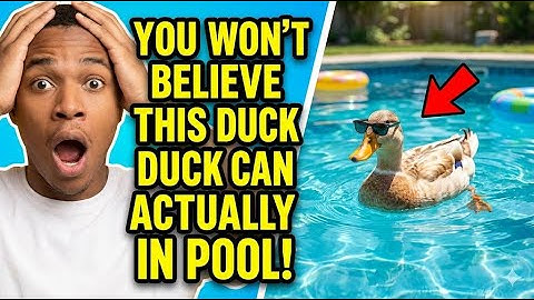 “You Won’t Believe This Duck Can Actually in pool!”