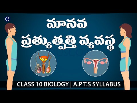 ప్రత్యుత్పత్తి వ్యవస్థ #Pratyutpatti |Reproduction in telugu | 10వ శాస్త్రం | తెలుగులో జీవశాస్త్రం 10వది