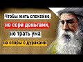 Жизненная мудрость Абу ль Аля аль Маарри.  Мудрые цитаты и высказывания