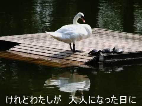 希望（昭和42年）鮫島有美子　Cover
