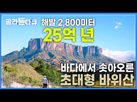 천 미터 절벽에 둘러싸여 세상과 단절된 채 억겁의 시간! 바위산이 간직한 &amp;#39;태초의 지구&amp;#39;│한 걸음에 1,000년 씩 지구의 시간을 거슬러 오르다│로라이마│세계테마기행│#골라듄다큐