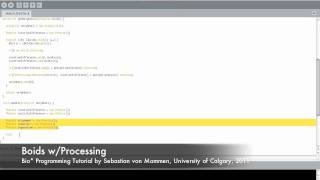 Boids with Processing, part 2 Wealth