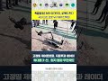 폭발물 탐지부터 제거까지, 로봇이 한다 #KR1 #폭발물탐지제거로봇 #방위사업청
