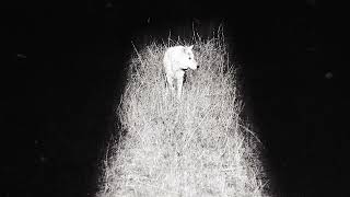 Zacari & Beam - Faith Sight Official Audio