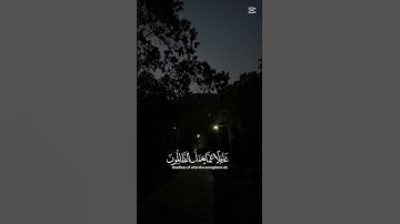 اكتب شيء تؤجر عليه ❤🎧😴 #المصحف #اكسبلور #تلاوة_خاشعة #الرحمن #صوت_جميل #راحة_نفسية