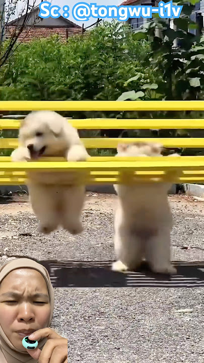 why do i always fall when i run⁉️😫 @tongwu-i1v #shorts #funny #dubbing